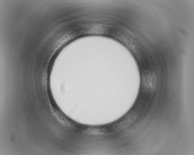 X0000115780534200912041453