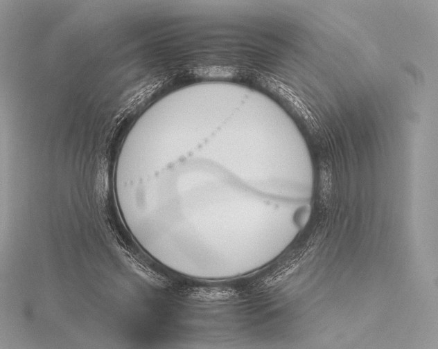 X0000115780541200912041453