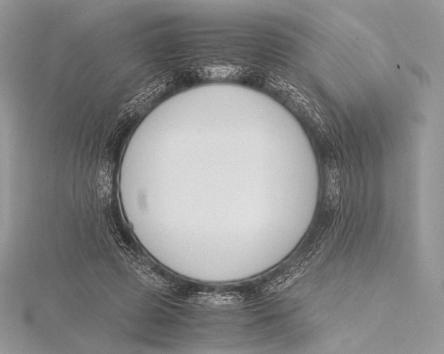 X0000115780545200912041453