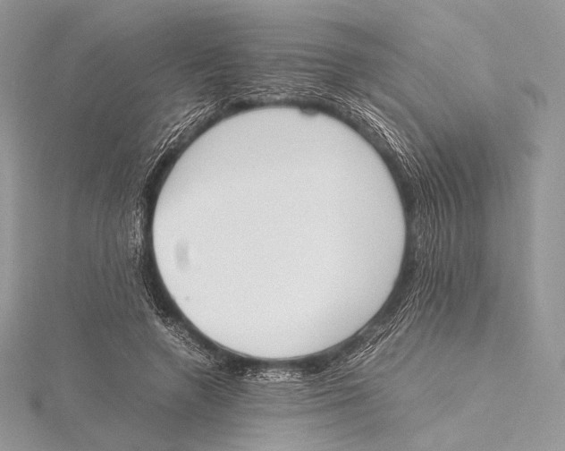 X0000115780546200912041453