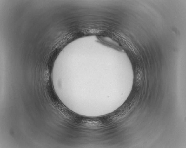 X0000115780555200912041453