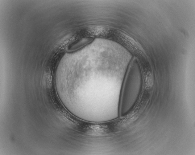 X0000115780558200912041453