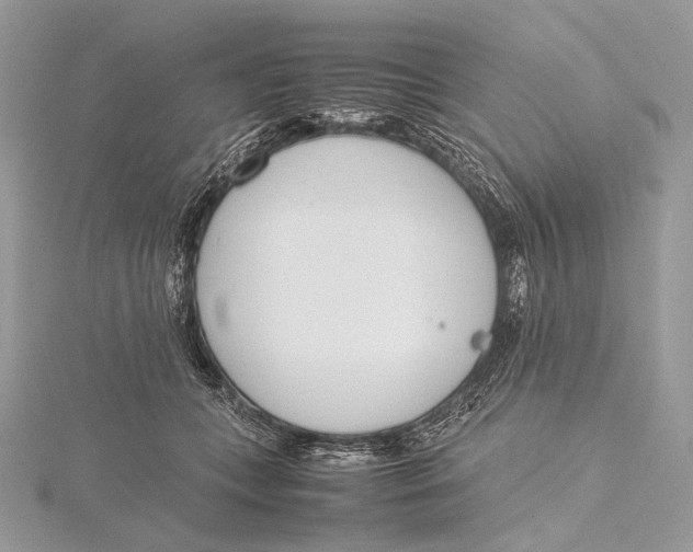 X0000115780559200912041453