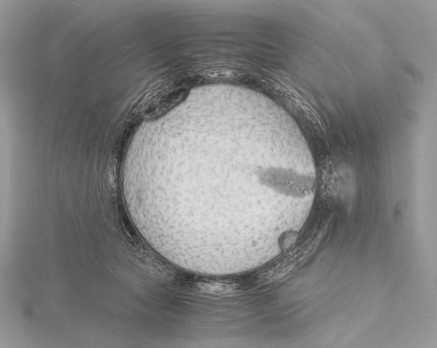 X0000115780561200912041453