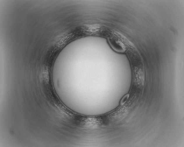 X0000115780562200912041453