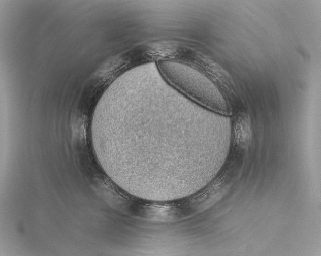 X0000115780570200912041454