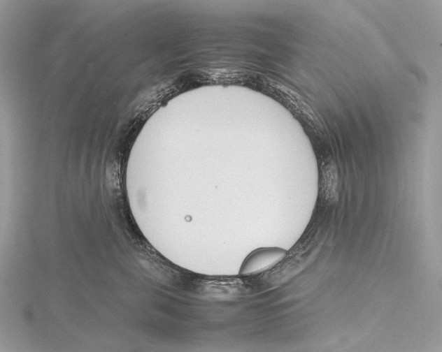 X0000115780571200912041454