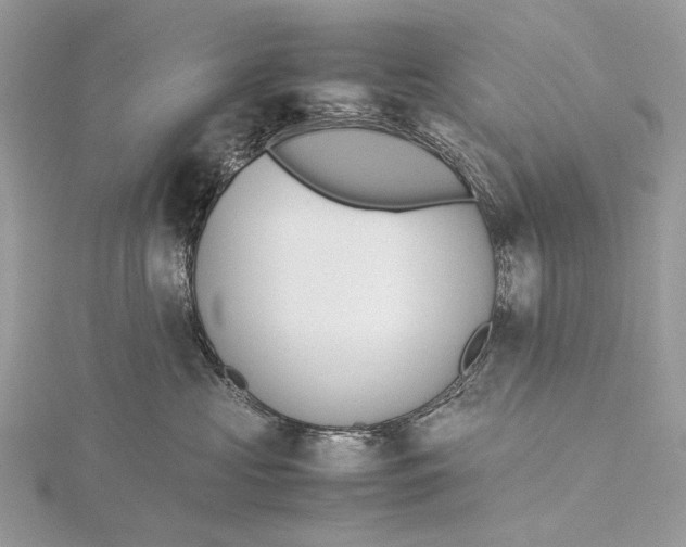 X0000115780573200912041454