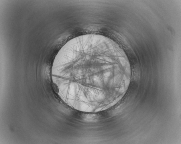 X0000115780575200912041454