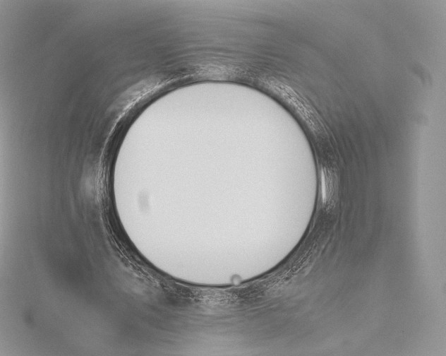 X0000115780579200912041453