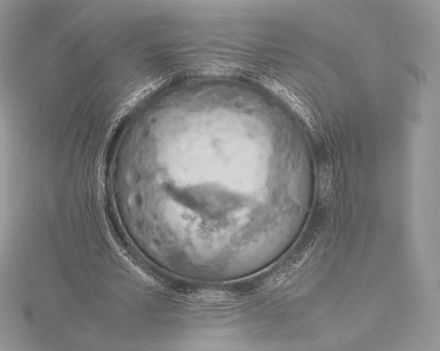 X0000115780581200912041453