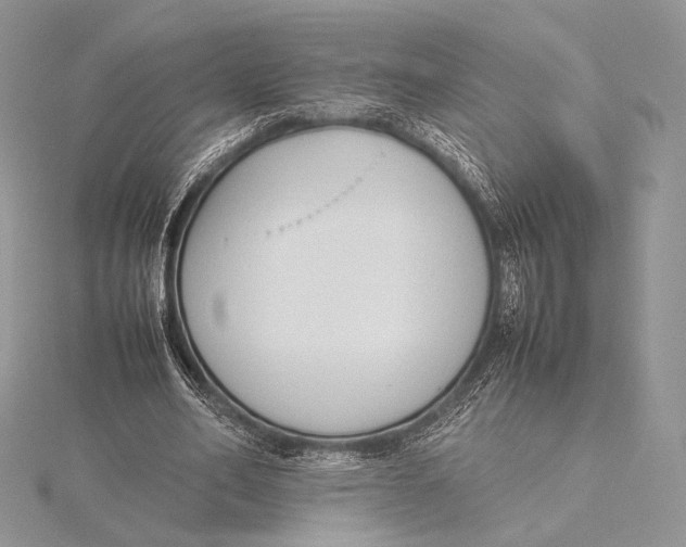 X0000115780582200912041453