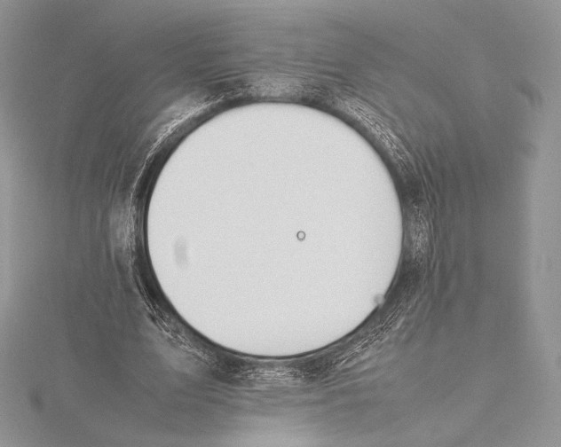 X0000115780583200912041453