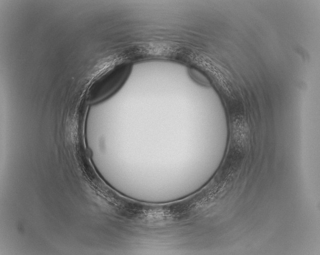 X0000115780587200912041453