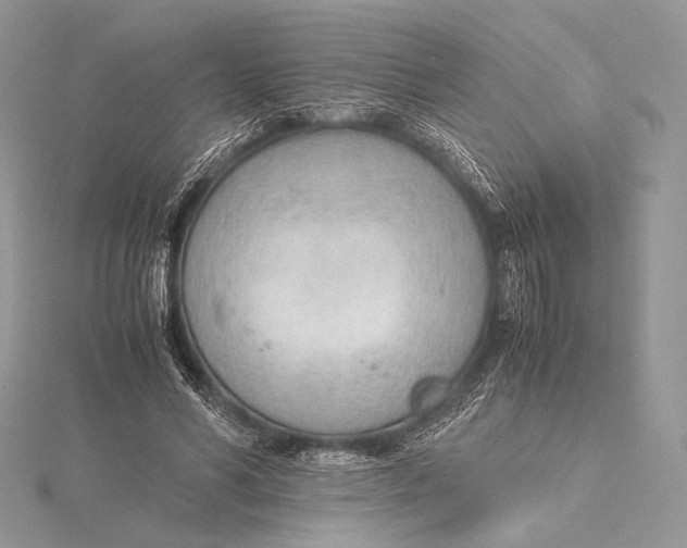 X0000115780590200912041453