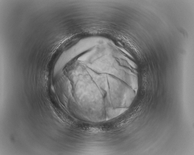 X0000115780592200912041453