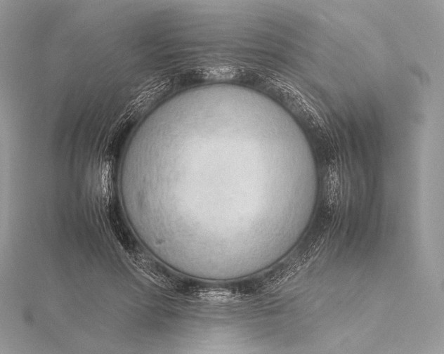 X0000115780598200912041453