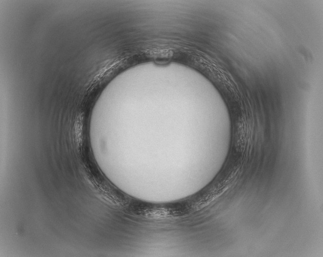 X0000115780600200912041453