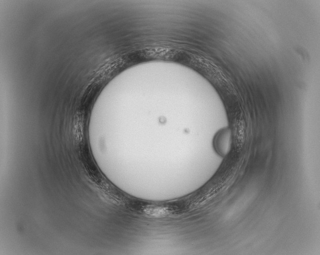 X0000115780602200912041453