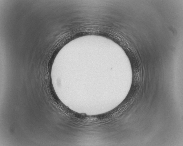 X0000115780609200912041453