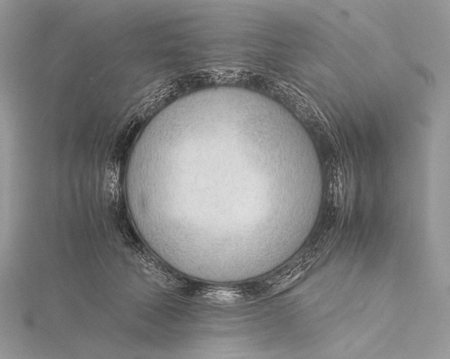 X0000115780610200912041453