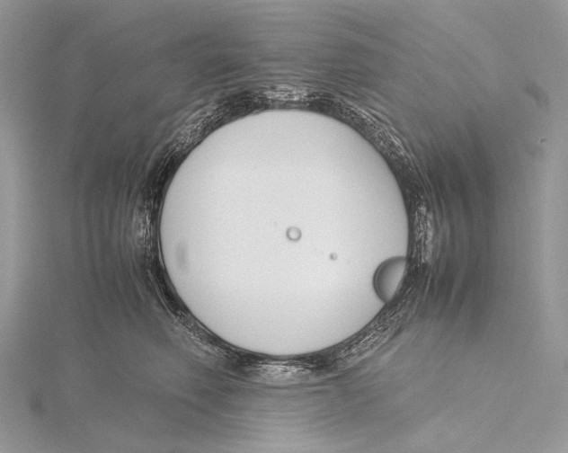 X0000115780614200912041453