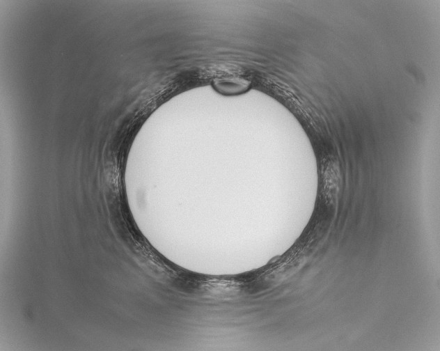 X0000115780617200912041453