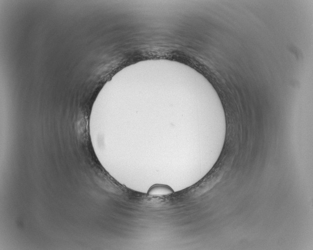 X0000115780624200912041452