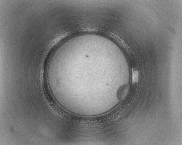 X0000115780627200912041452