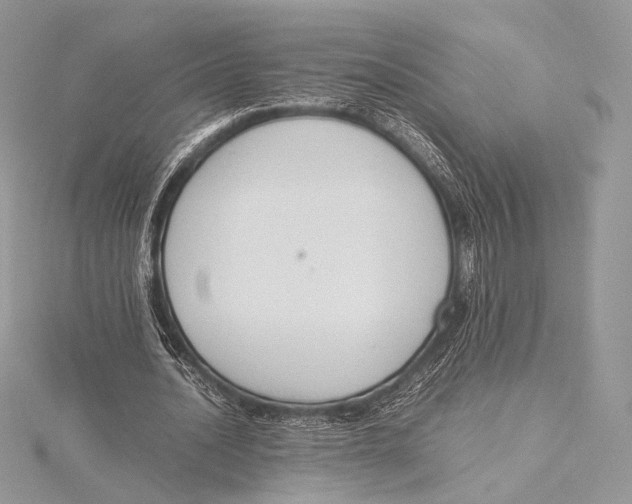 X0000115780628200912041452