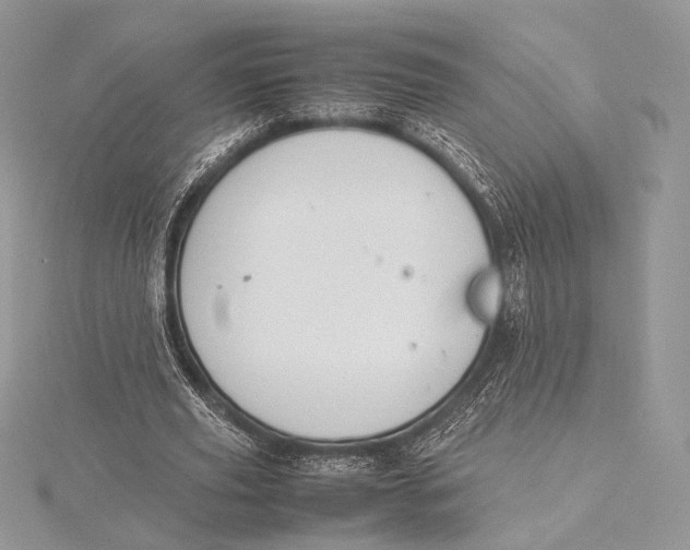 X0000115780629200912041452