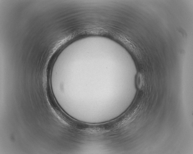 X0000115780630200912041452