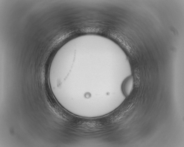 X0000115780631200912041452