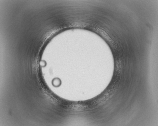 X0000115780632200912041452