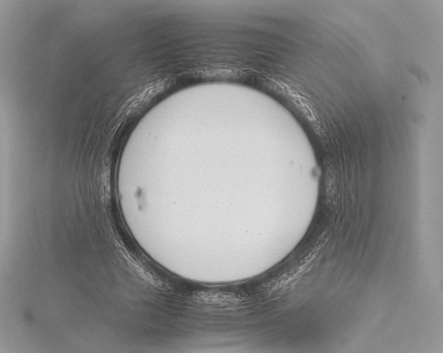 X0000115780633200912041452