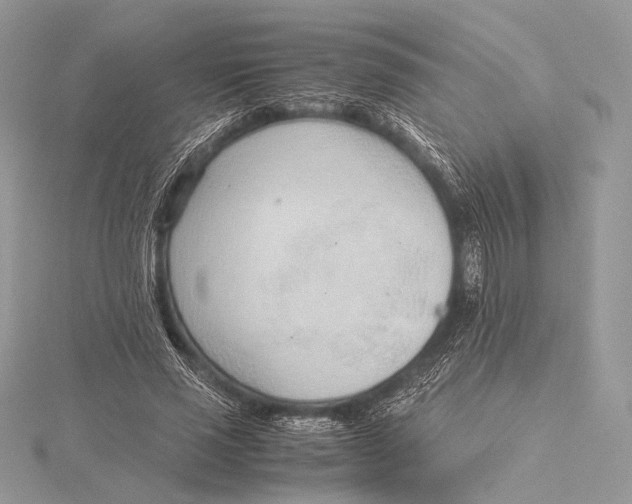 X0000115780637200912041452