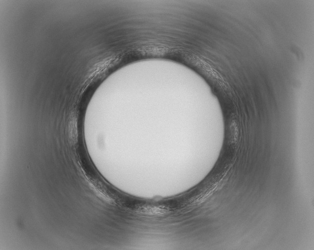 X0000115780638200912041452