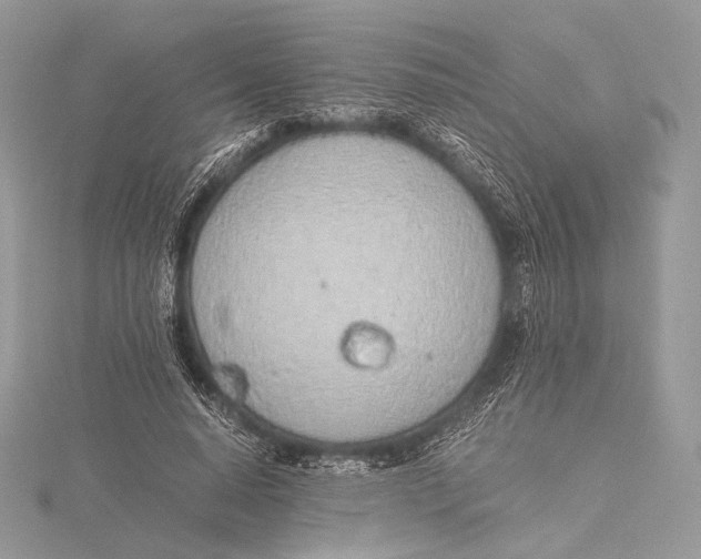 X0000115780640200912041452