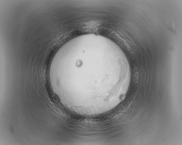 X0000115780641200912041452