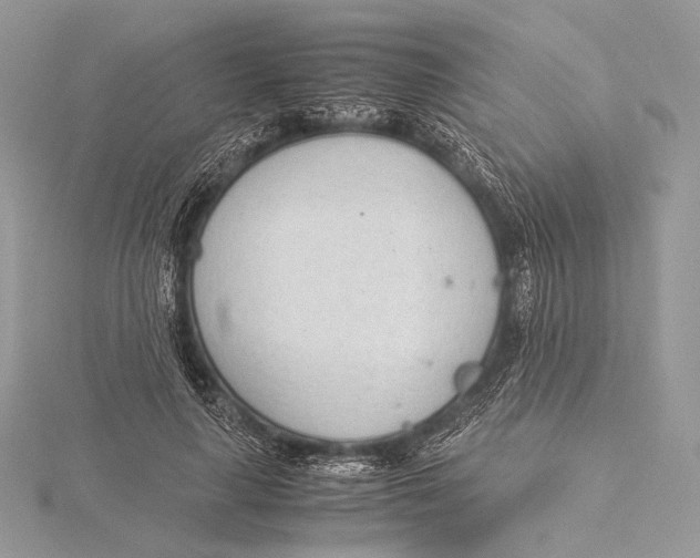 X0000115780643200912041452