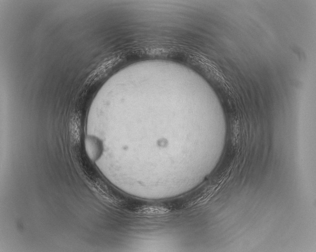 X0000115780644200912041452