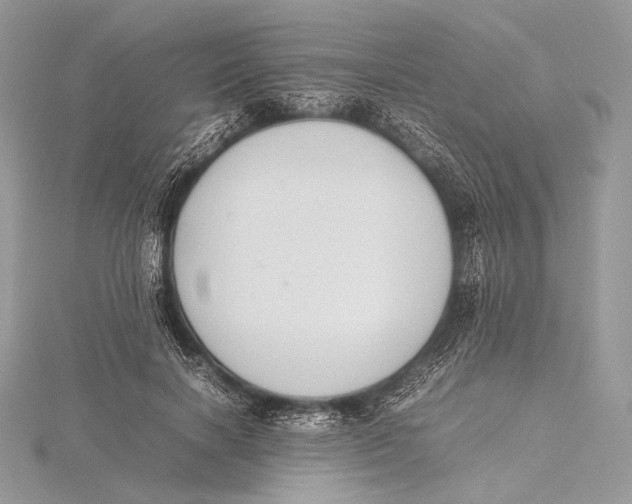 X0000115780646200912041452