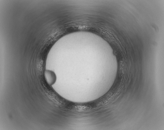 X0000115780650200912041452