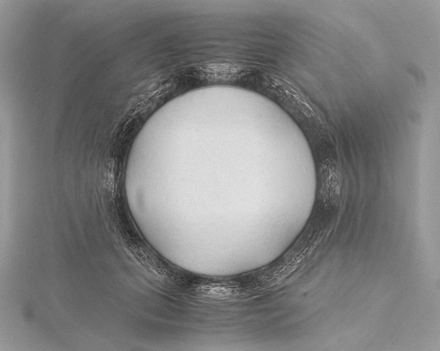 X0000115780655200912041452