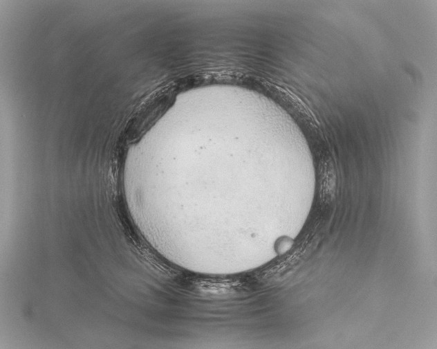 X0000115780661200912041452