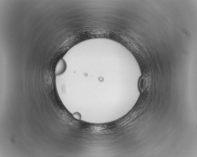 X0000115780662200912041452