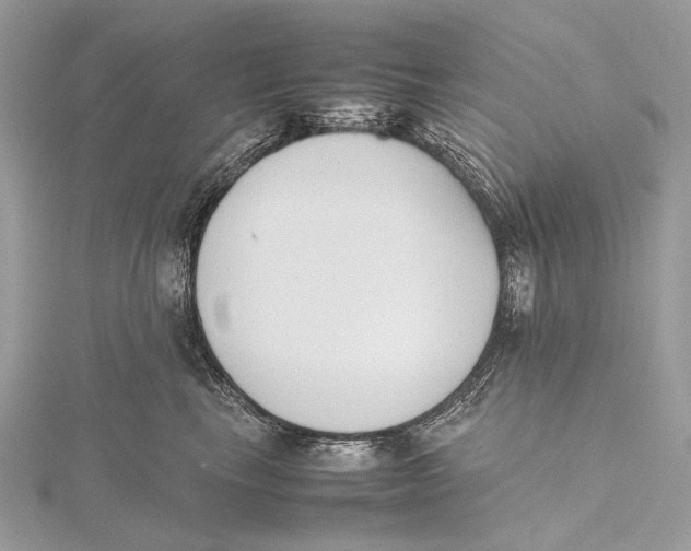 X0000115780665200912041452