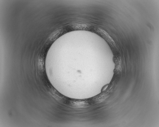 X0000115780669200912041452