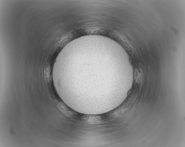 X0000115780670200912041452