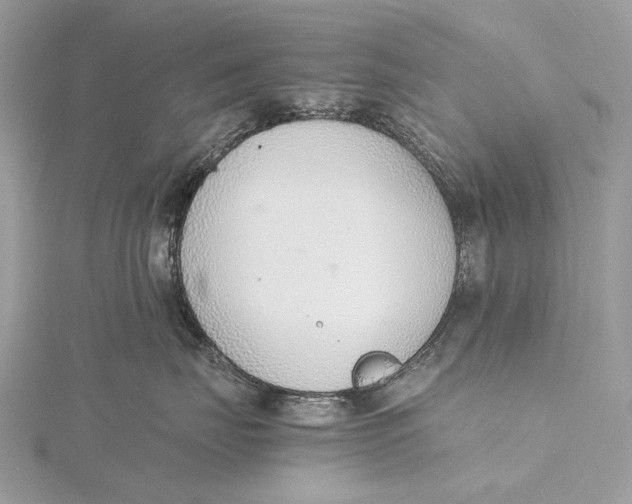 X0000115780671200912041452